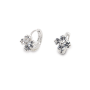 Aretes de Plata