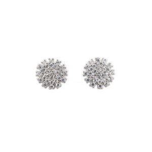 Aretes de Plata