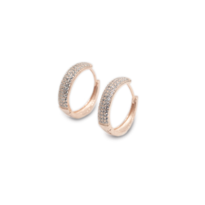Aretes de Plata