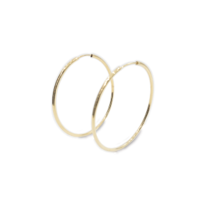 Aretes de Plata