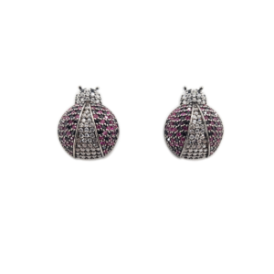Aretes de Plata