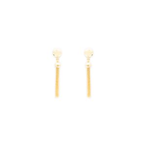 Aretes de Plata