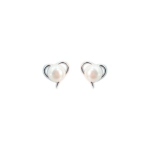 Aretes de Plata