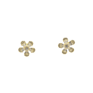 Silver Golden Earrings