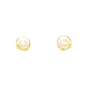Silver Golden Earrings