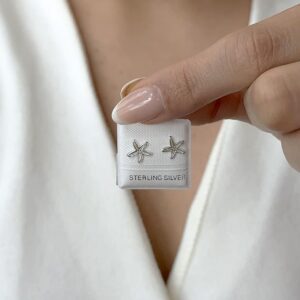 JE shop aretes plata