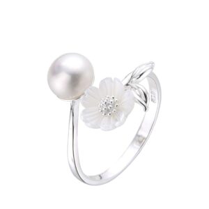 JE Shop Anillo plata