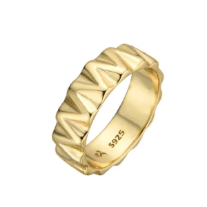 Anillo Plata