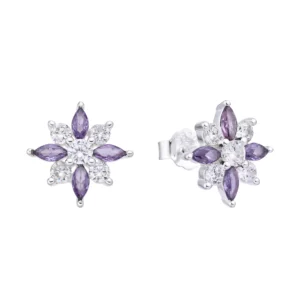 Aretes Plata