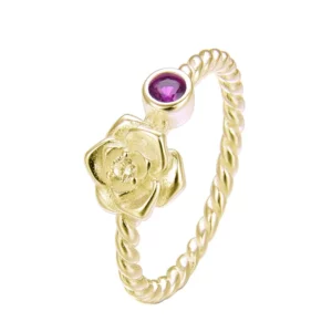 Anillo Plata
